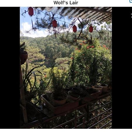 Wolf'S Lair Hotell Dalat Exteriör bild
